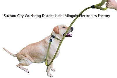 Dog Leash and Collar (Patented in EU, China)